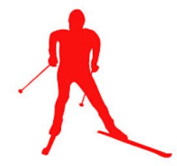 Skating für Fortgeschrittene ! Tageskurs, gute Fitness erforderlich !